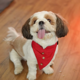 Festive Red Kurta Bandana