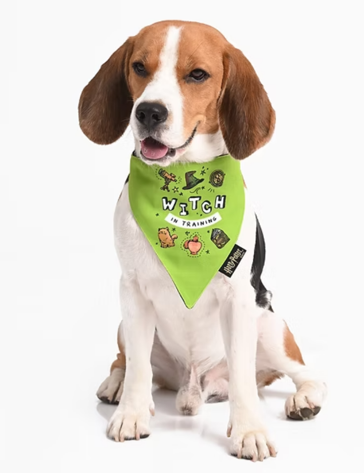 Woofy Witch Bandana