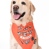 Woofy Wizard Bandana