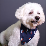 Fly High Denim Bandana