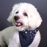 Starry Days Denim Bandana